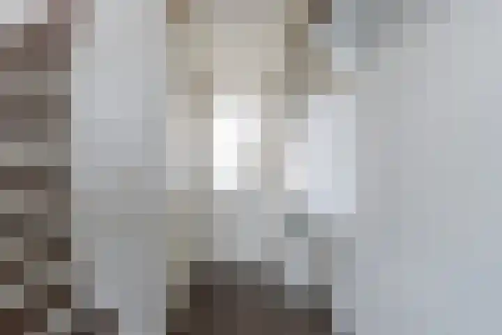 Chico Mendesring 25 Dordrecht thumbnail 5