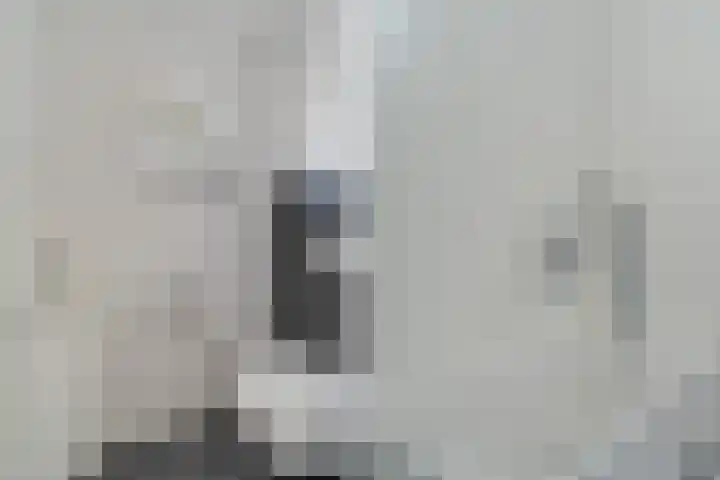 Chico Mendesring 278 Dordrecht thumbnail 6