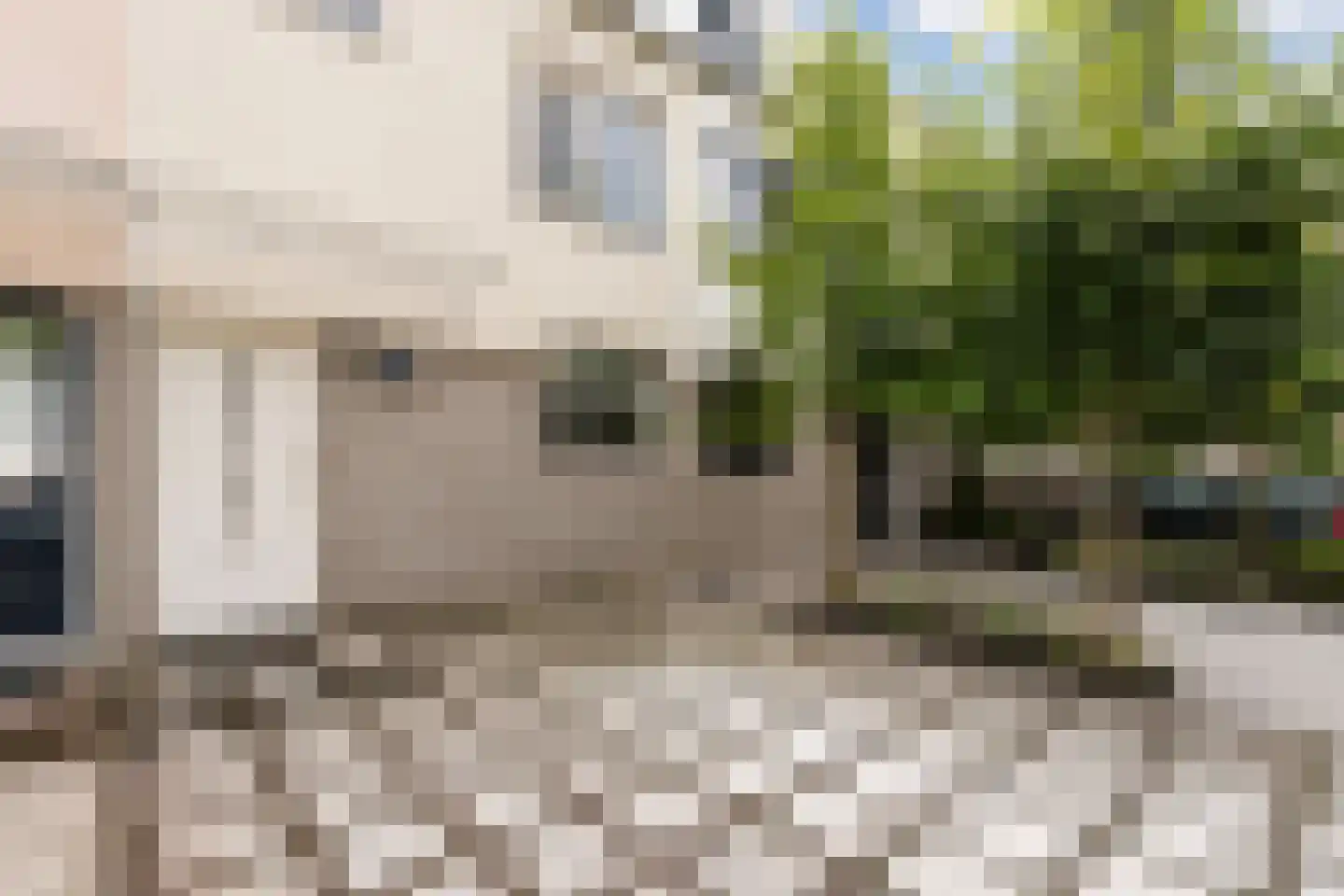 Chico Mendesring 31 Dordrecht thumbnail 7