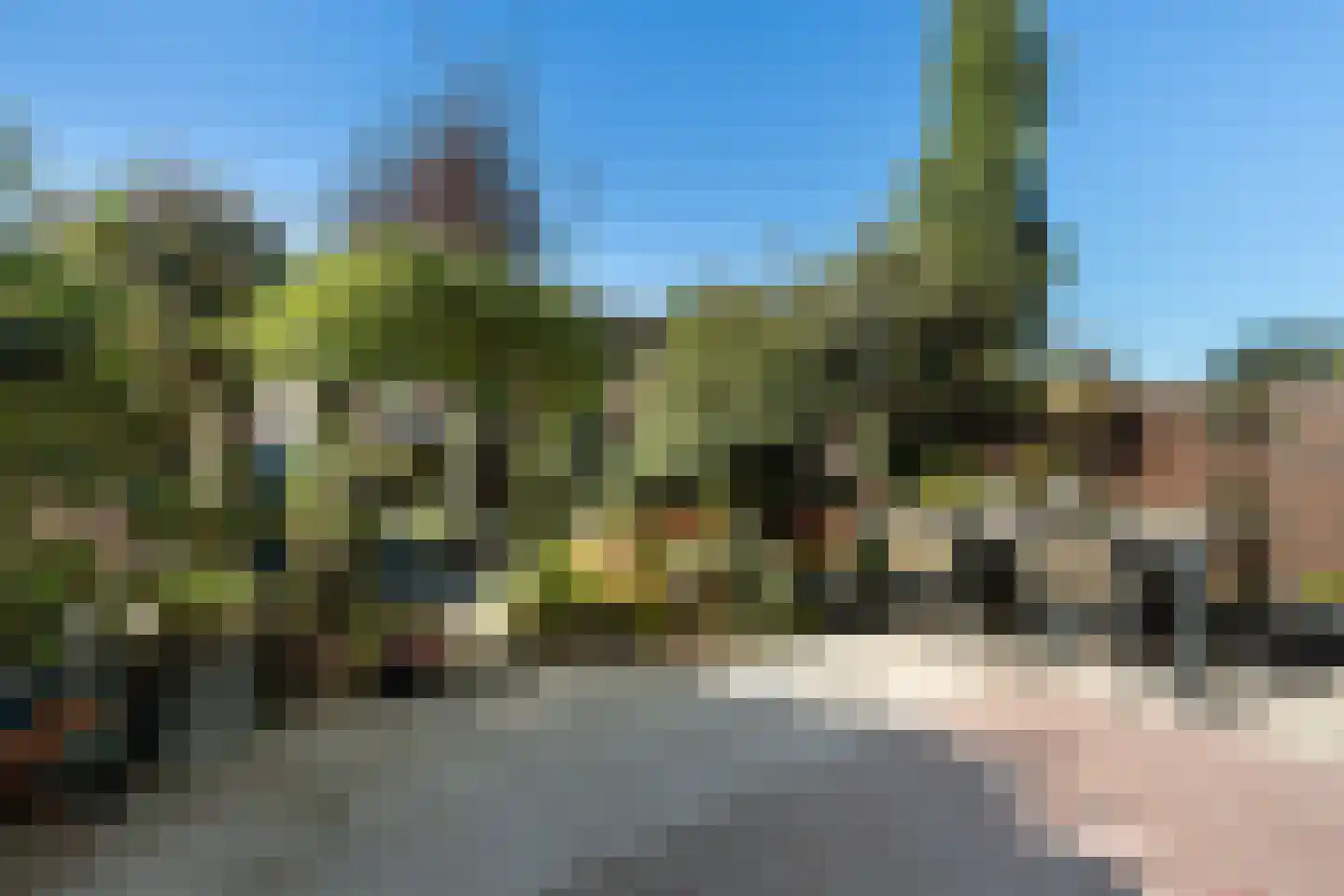 Chico Mendesring 318 Dordrecht thumbnail 34