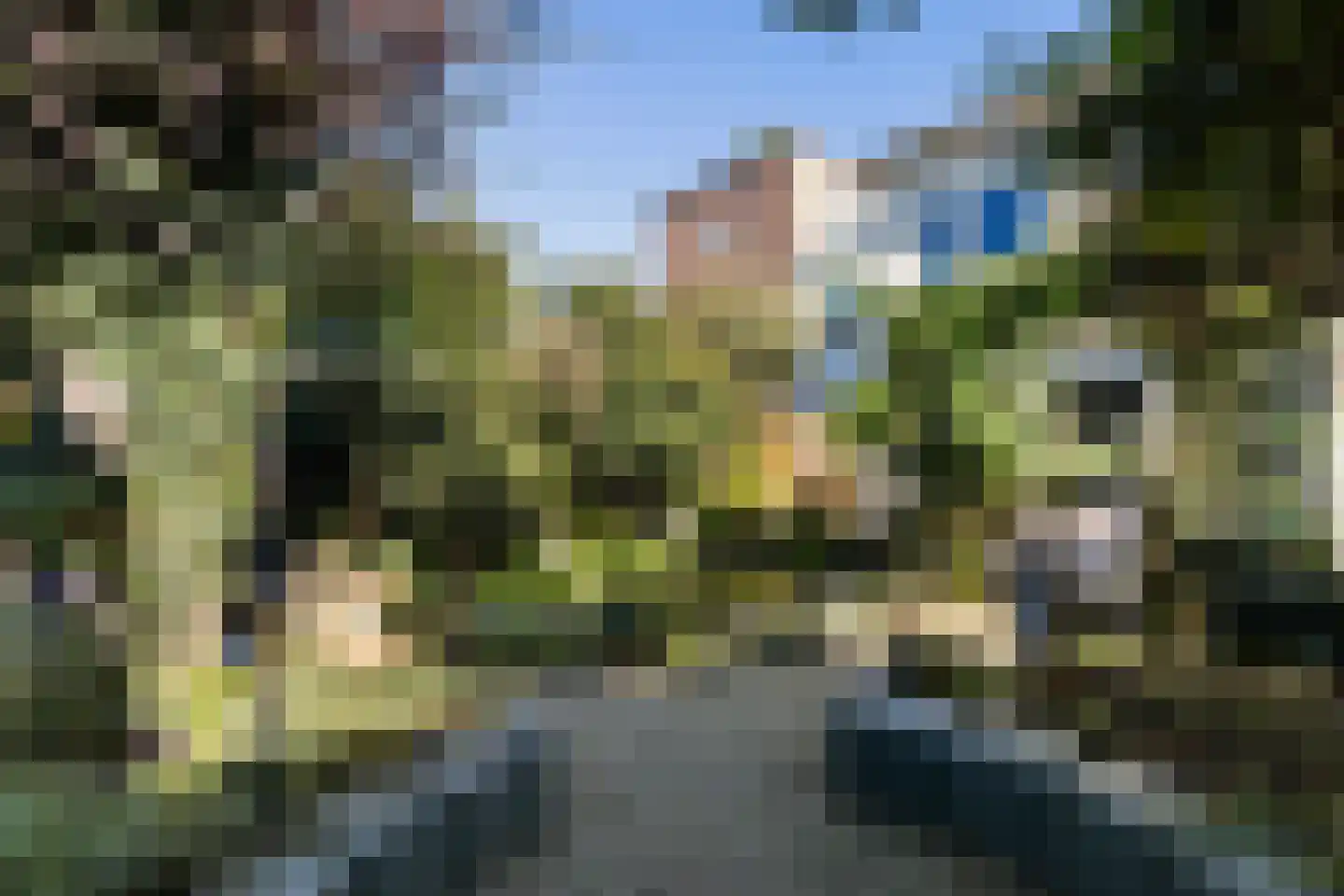 Chico Mendesring 318 Dordrecht thumbnail 39