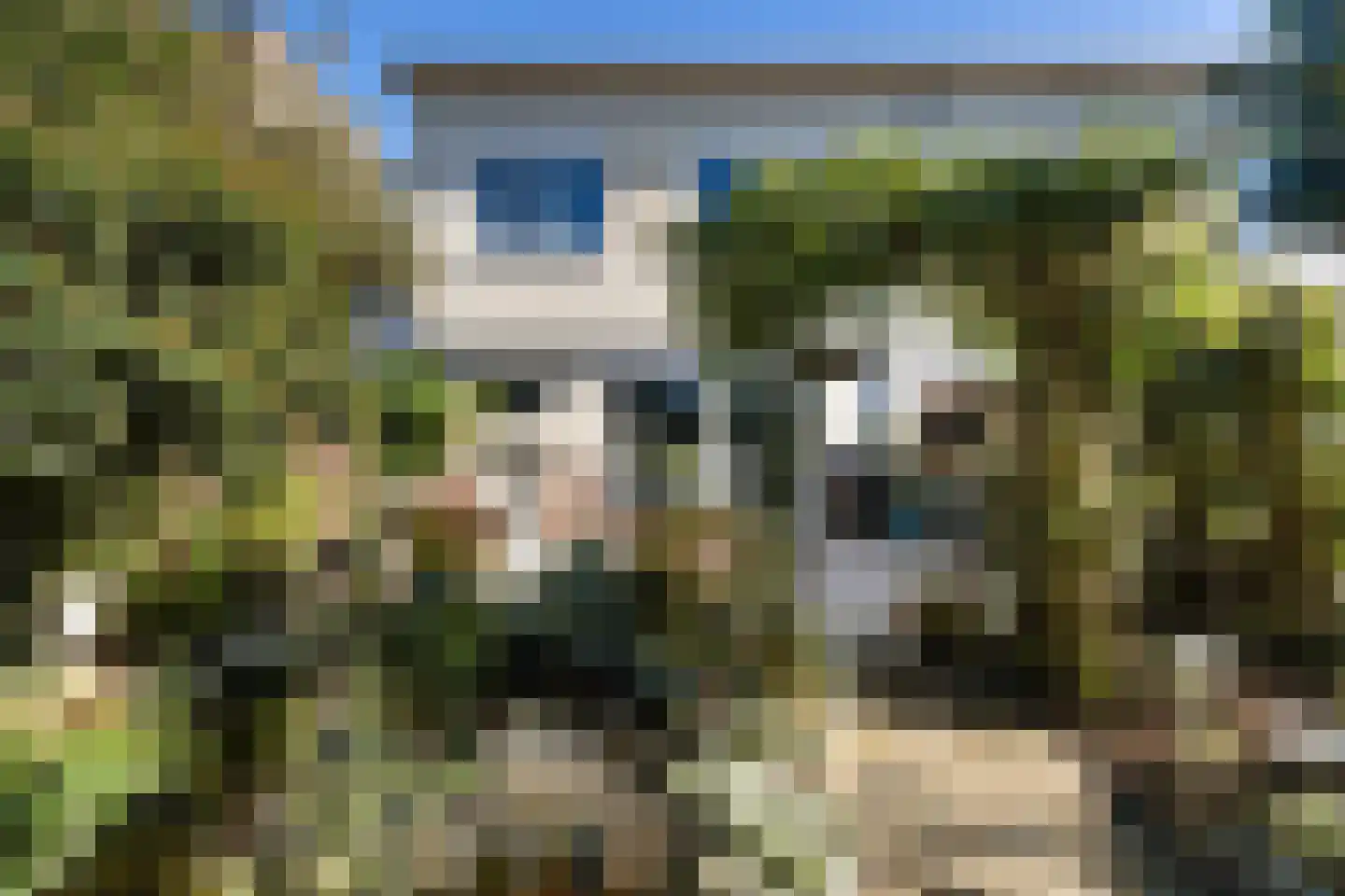 Chico Mendesring 318 Dordrecht thumbnail 42