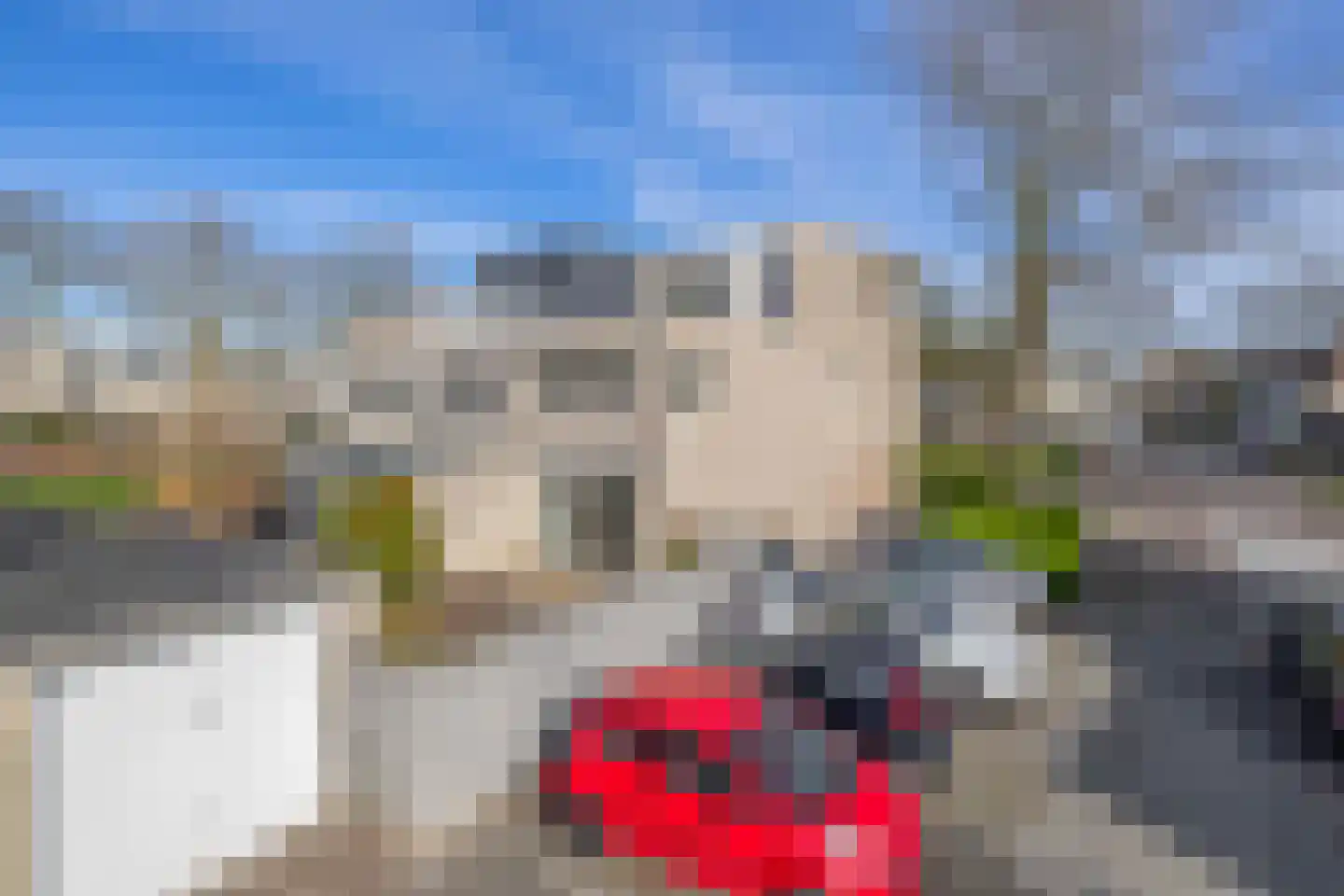 Chico Mendesring 371 Dordrecht thumbnail 39