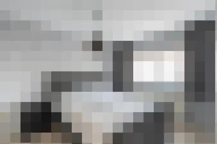 Chico Mendesring 405 Dordrecht thumbnail 19
