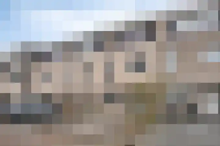 Chico Mendesring 562 Dordrecht thumbnail 6
