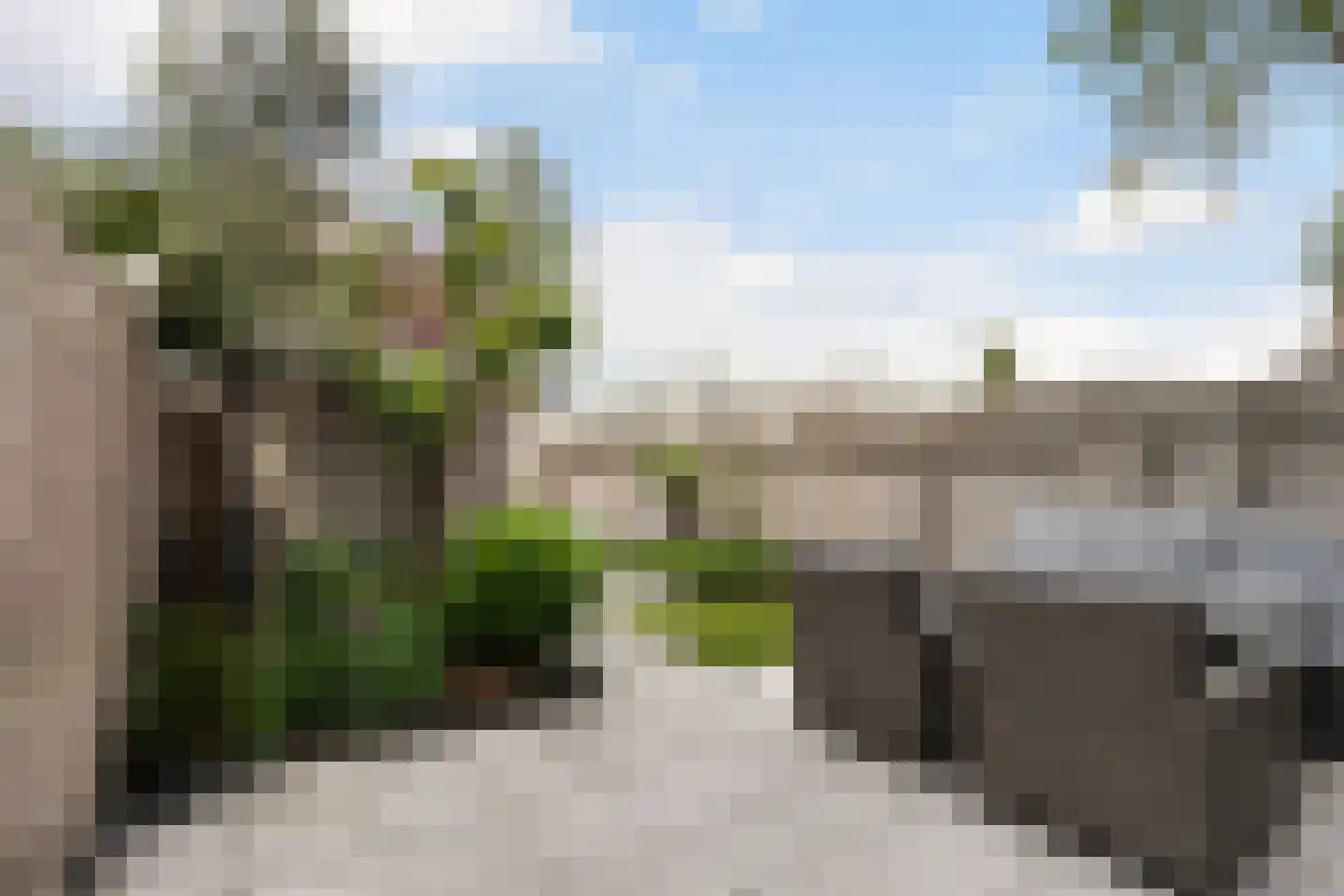 Chico Mendesring 82 Dordrecht thumbnail 22