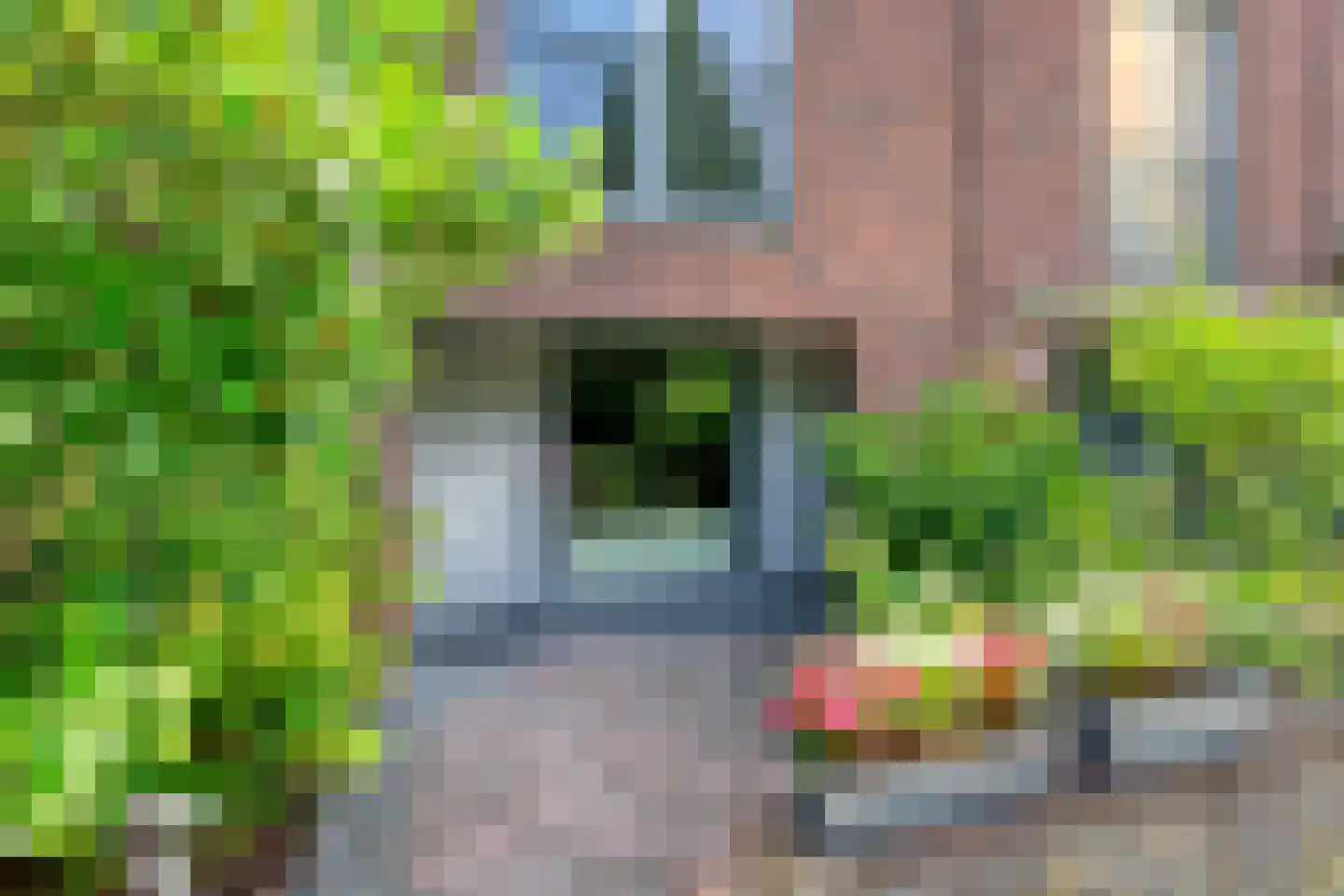 Chico Mendesstraat 23 Amsterdam thumbnail 5