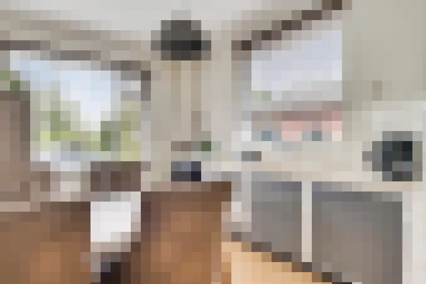 Chijnsgoed 7 Sterksel thumbnail 10