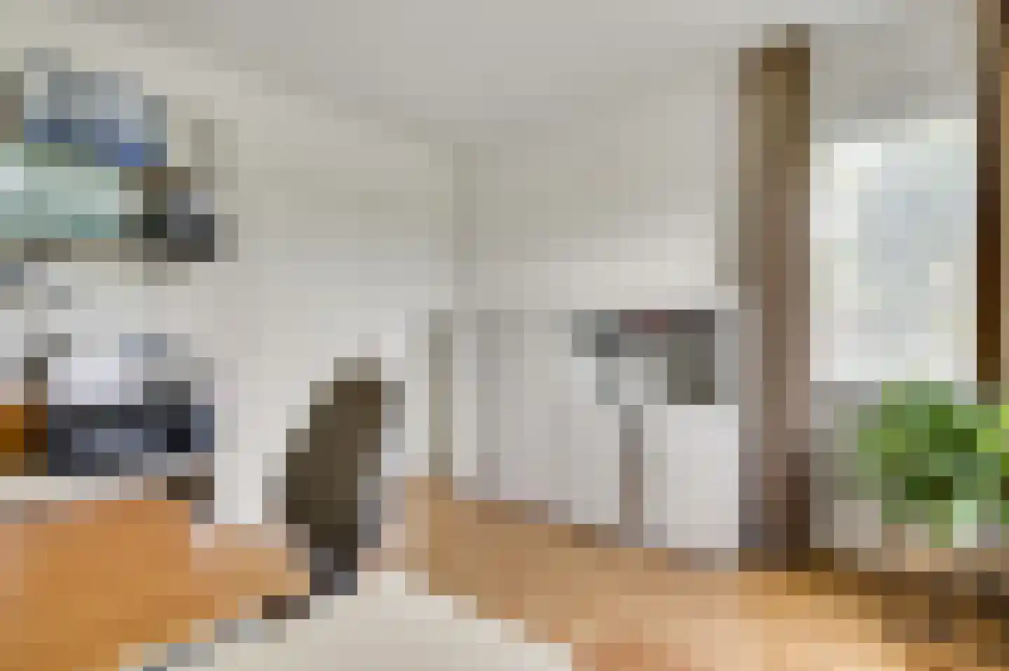 Chijnsgoed 7 Sterksel thumbnail 14