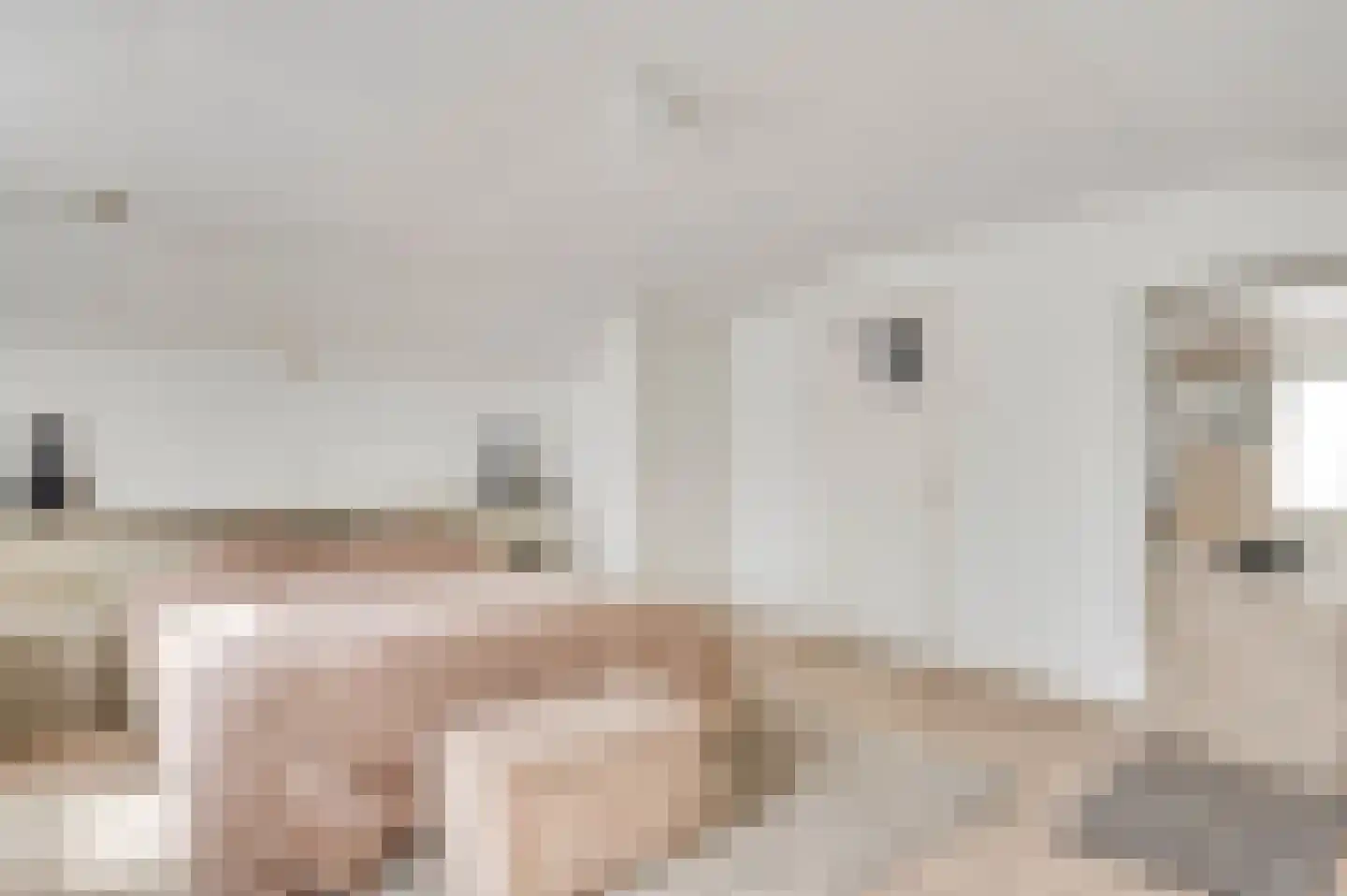 Chijnsgoed 7 Sterksel thumbnail 19