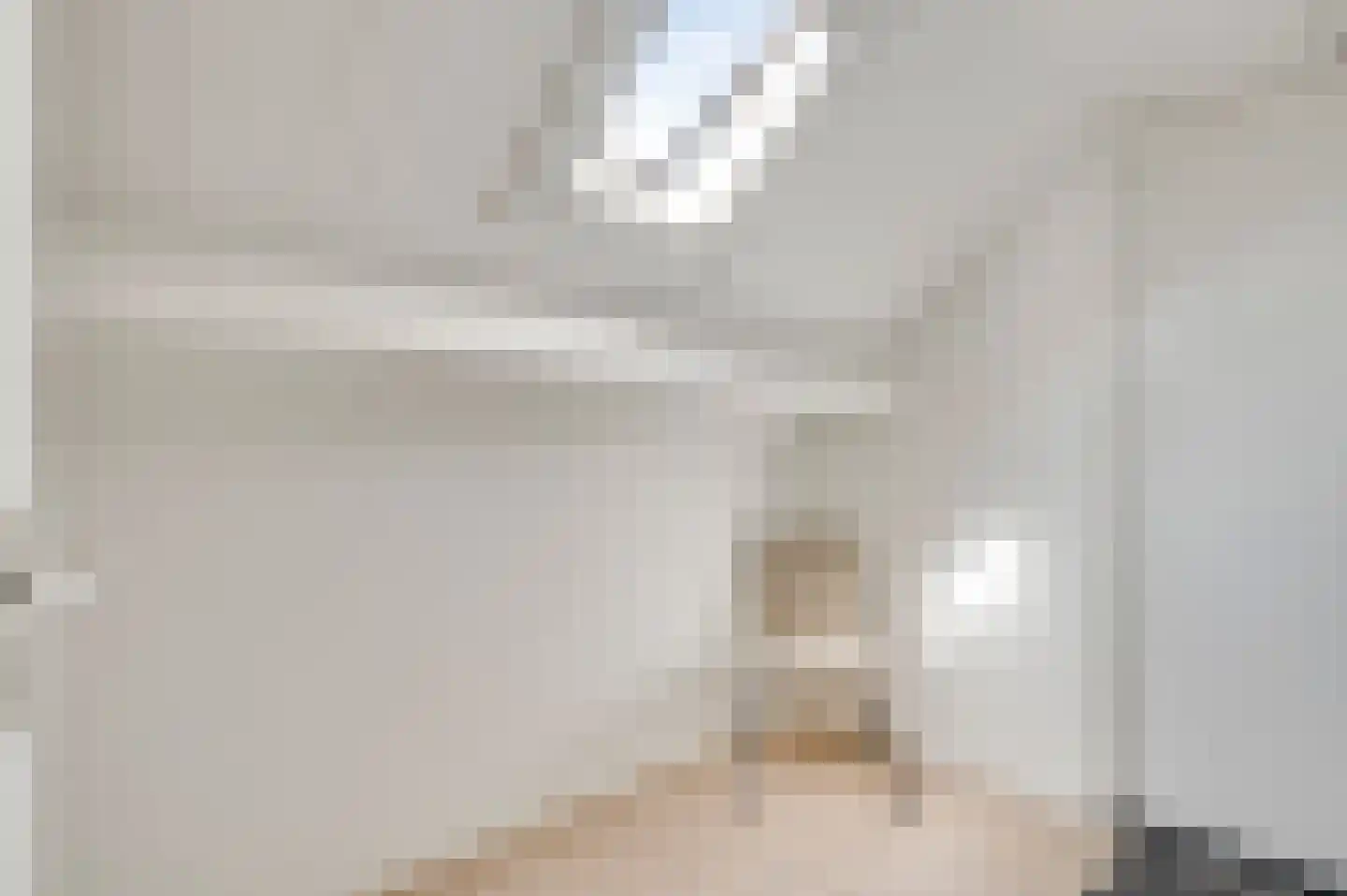 Chijnsgoed 7 Sterksel thumbnail 21