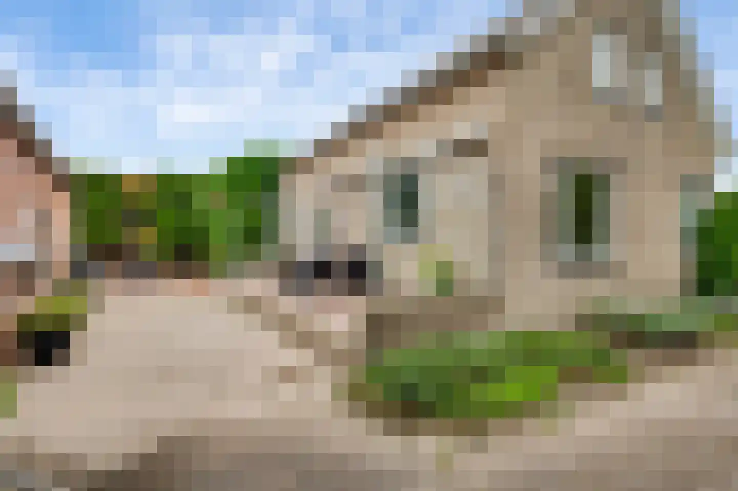 Chijnsgoed 7 Sterksel thumbnail 24