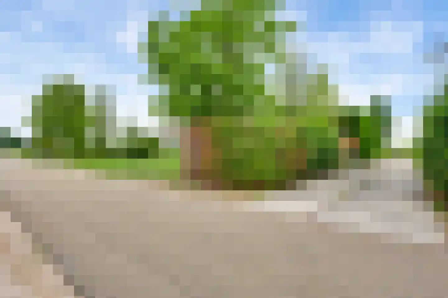 Chijnsgoed 7 Sterksel thumbnail 9