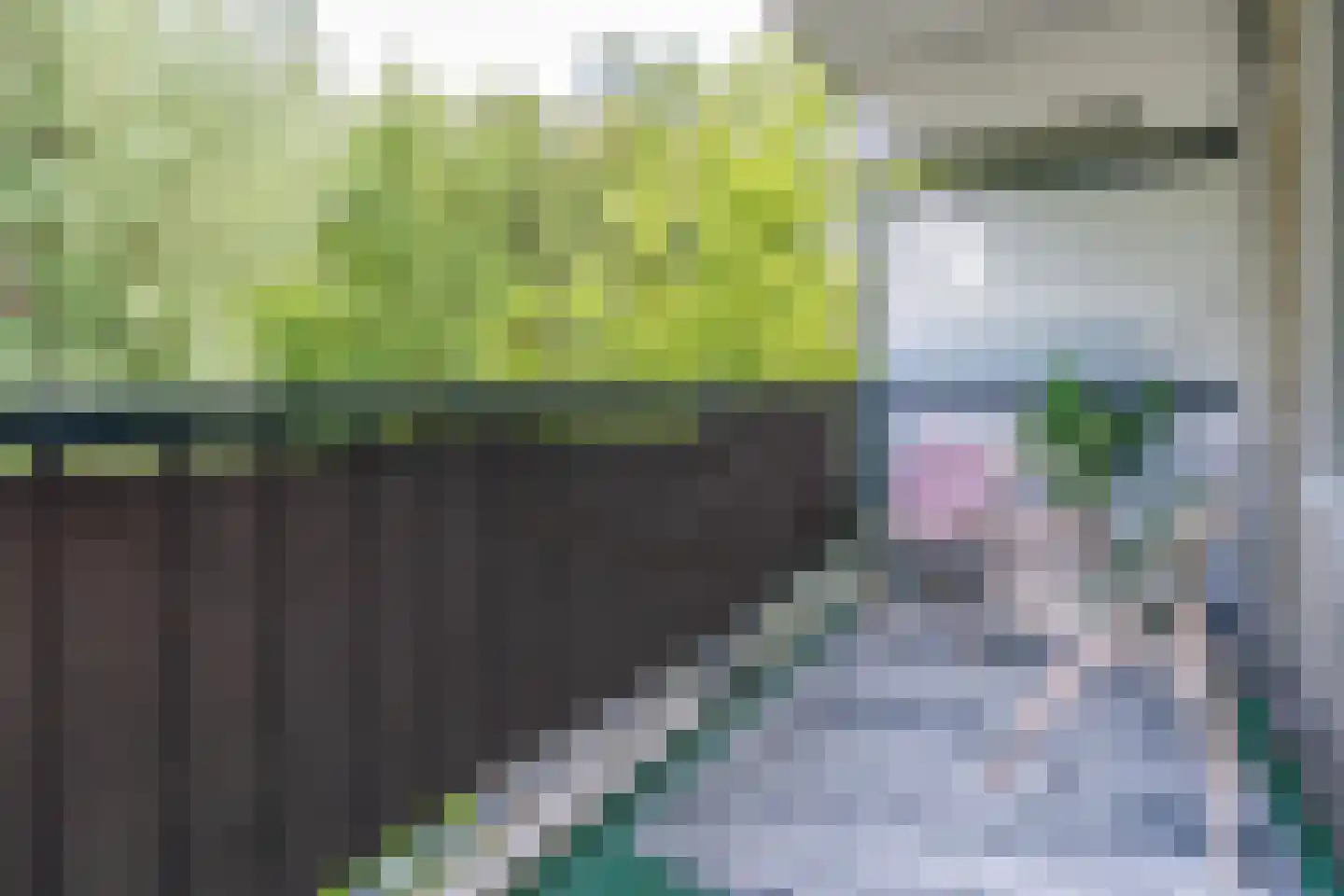 Chilidreef 19 Utrecht thumbnail 10