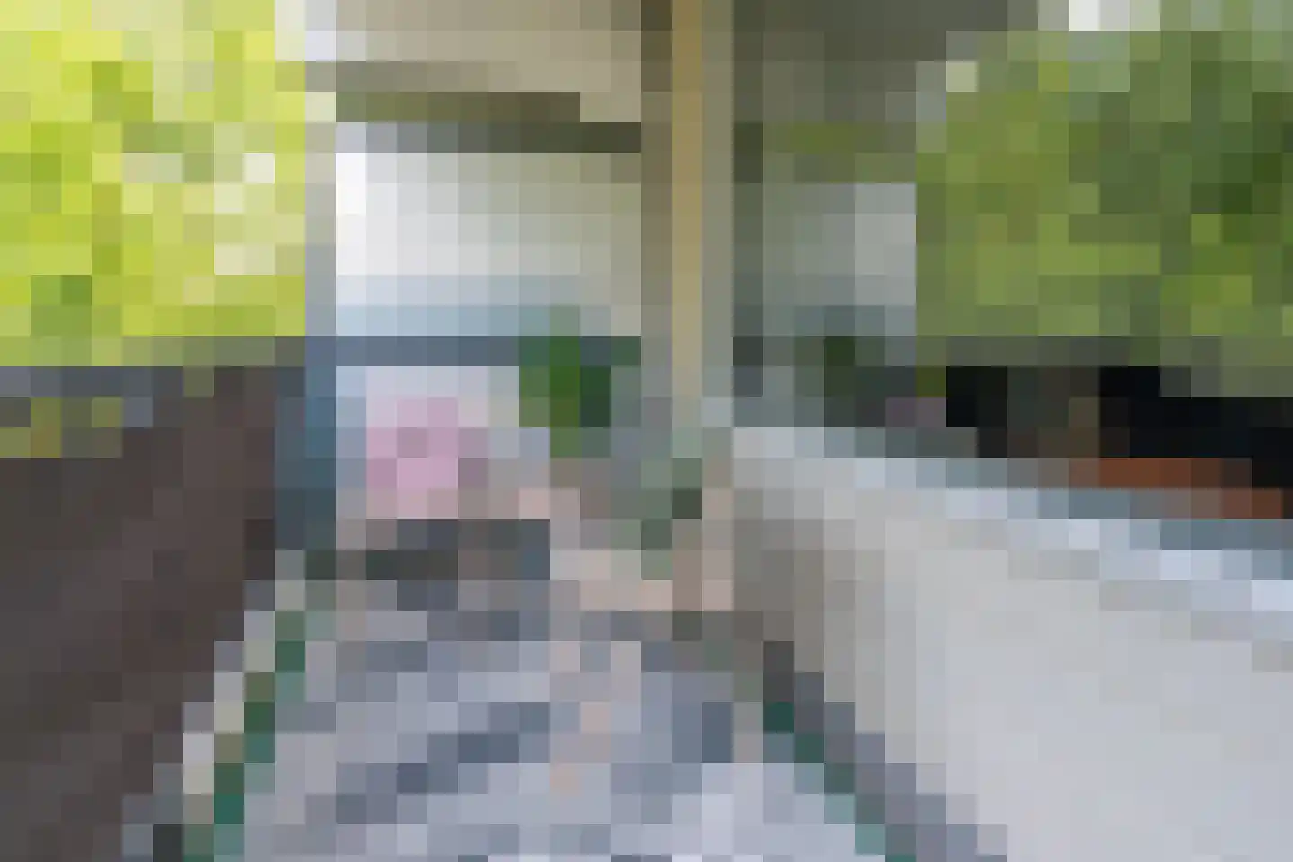 Chilidreef 19 Utrecht thumbnail 11