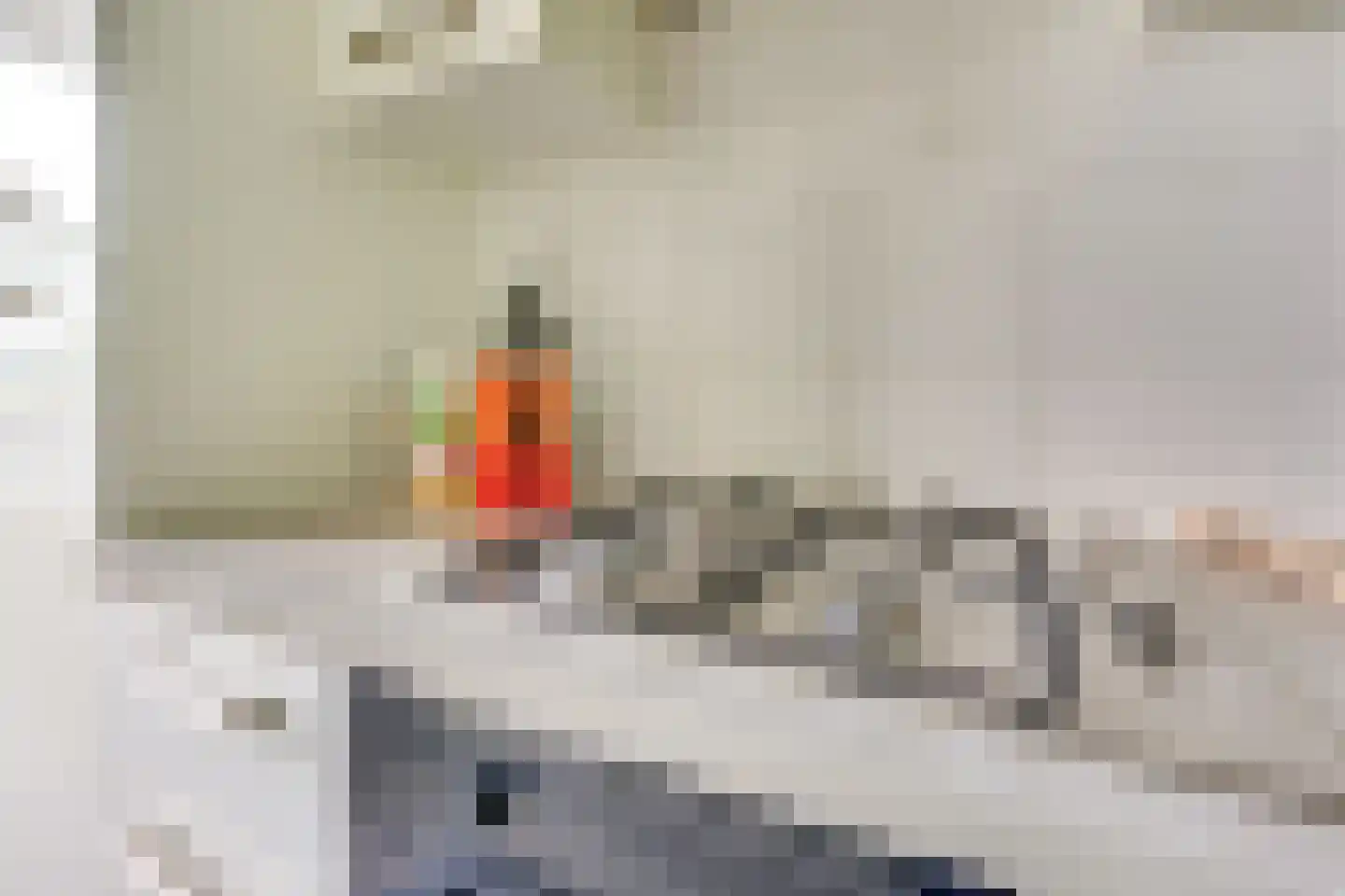 Chilidreef 19 Utrecht thumbnail 18