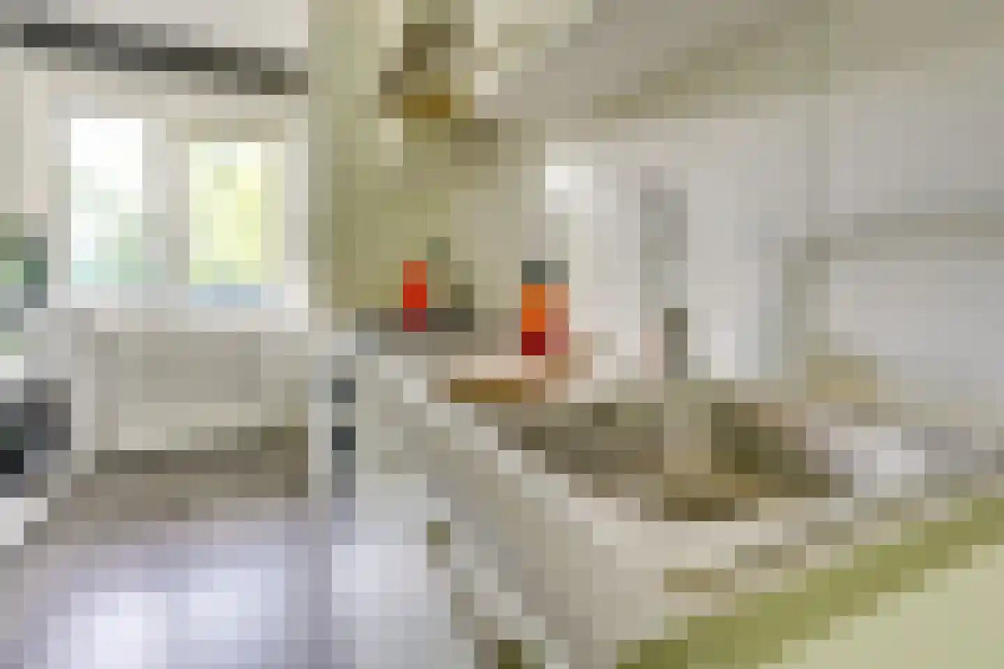 Chilidreef 19 Utrecht thumbnail 19