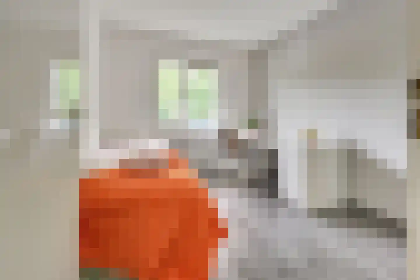 Chilidreef 19 Utrecht thumbnail 24