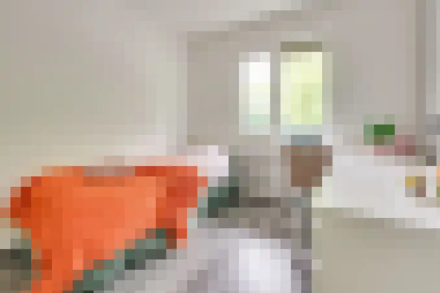 Chilidreef 19 Utrecht thumbnail 26