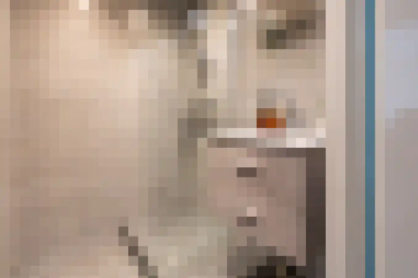 Chilidreef 19 Utrecht thumbnail 28