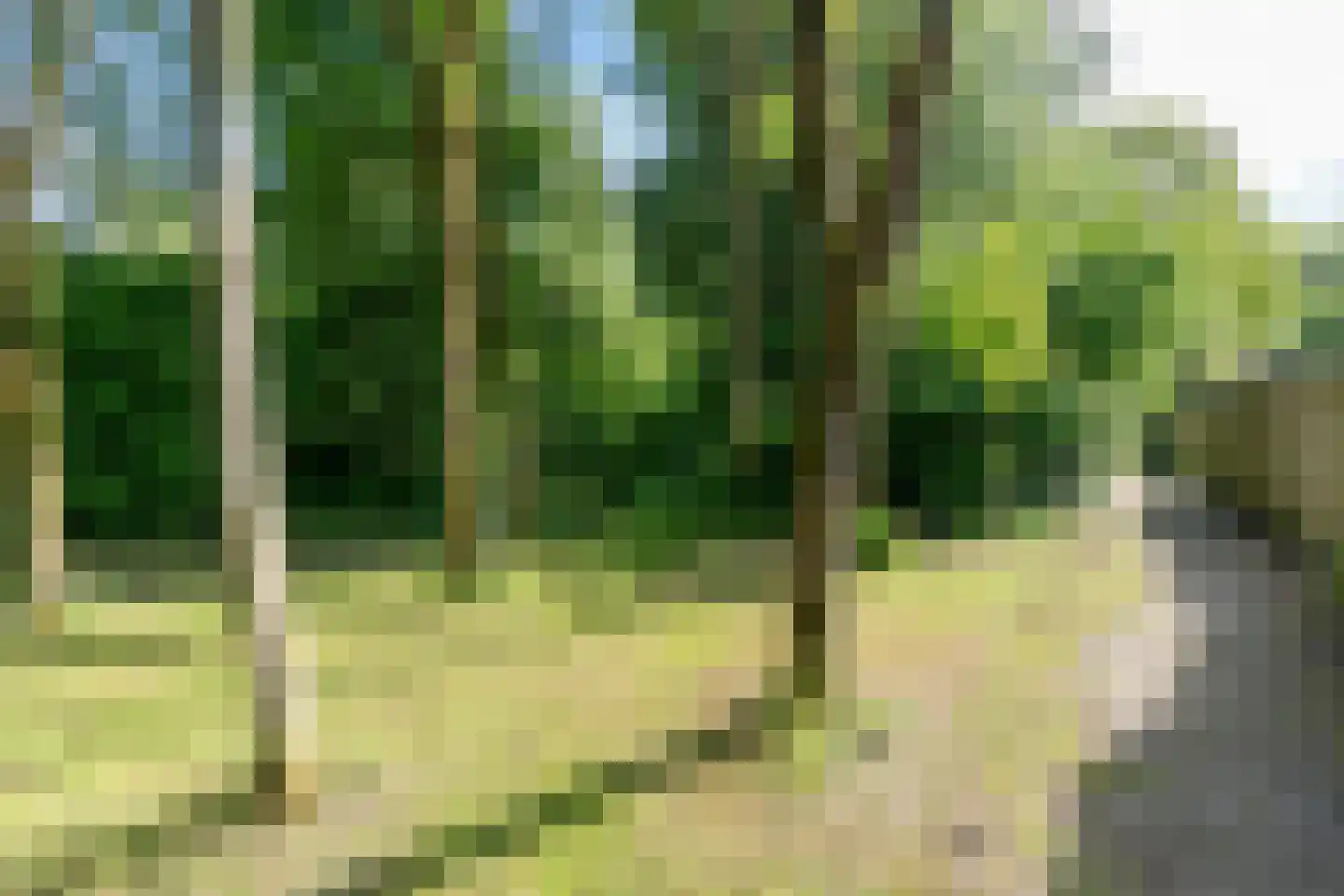 Chilidreef 19 Utrecht thumbnail 34