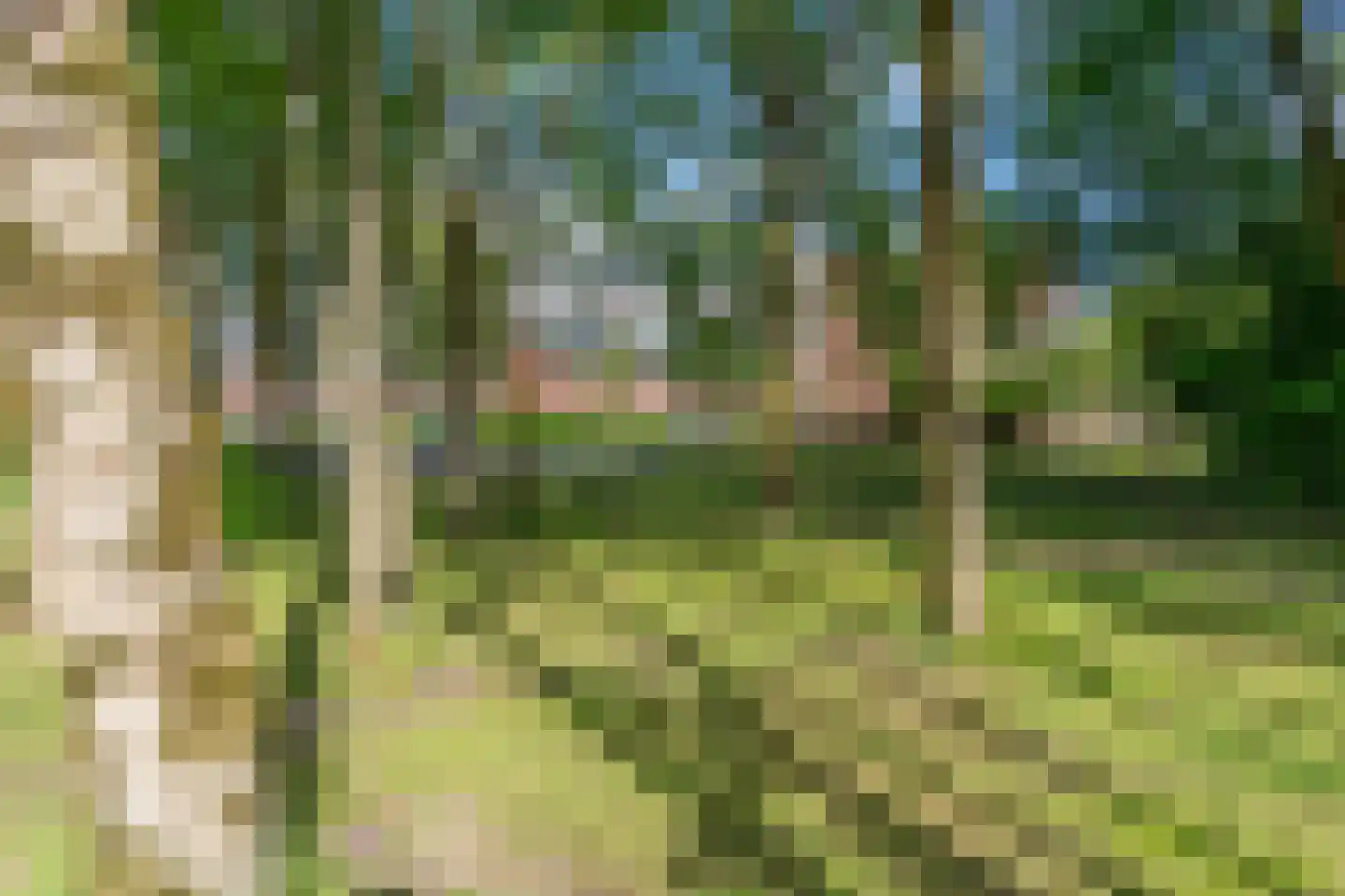 Chilidreef 19 Utrecht thumbnail 35