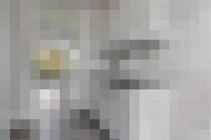 Chilidreef 25 Utrecht thumbnail 10