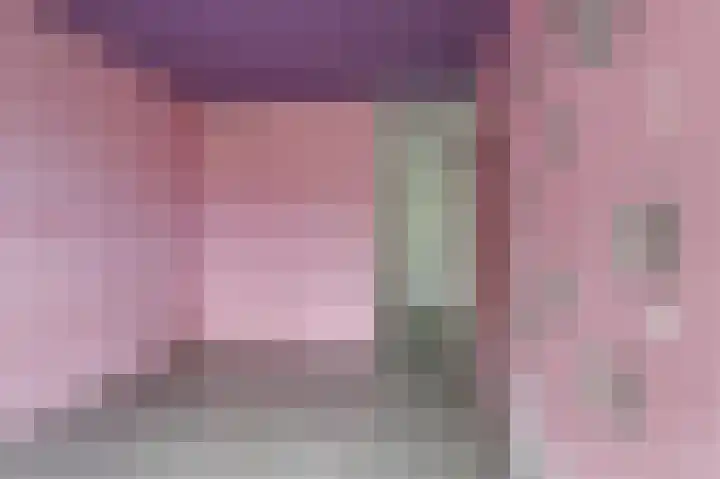 Chilidreef 25 Utrecht thumbnail 13