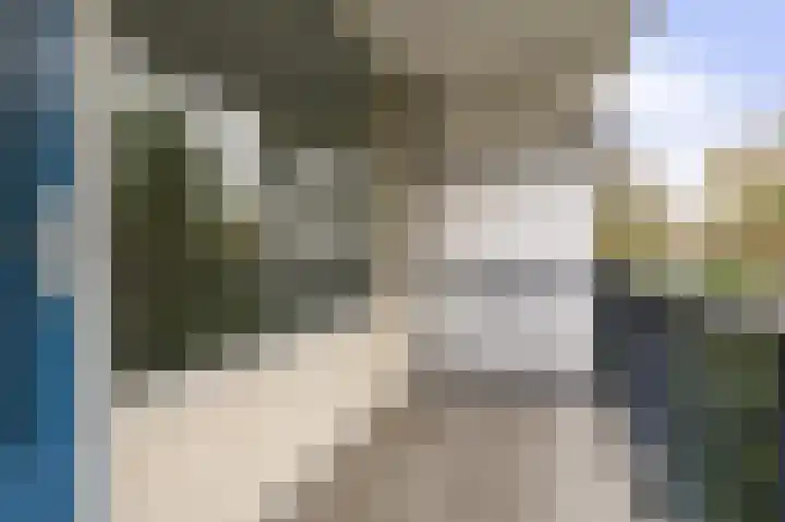 Chilidreef 25 Utrecht thumbnail 15
