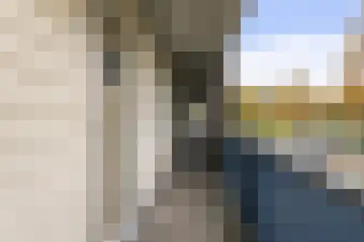 Chilidreef 25 Utrecht thumbnail 17