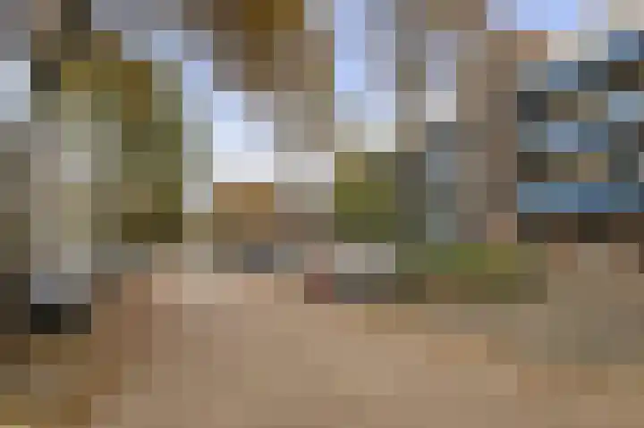 Chilidreef 25 Utrecht thumbnail 18