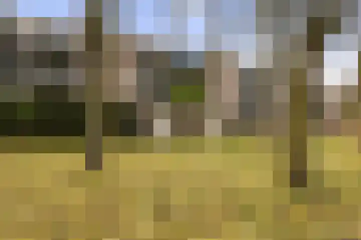 Chilidreef 25 Utrecht thumbnail 19