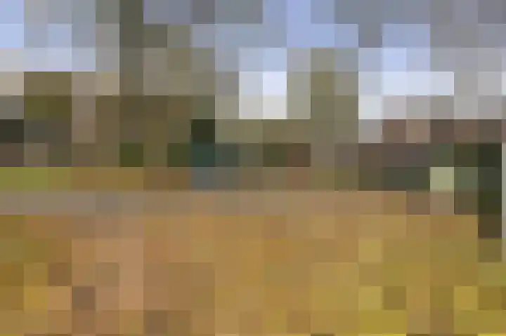 Chilidreef 25 Utrecht thumbnail 20