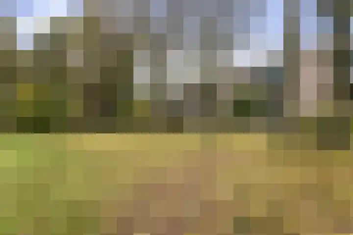 Chilidreef 25 Utrecht thumbnail 21