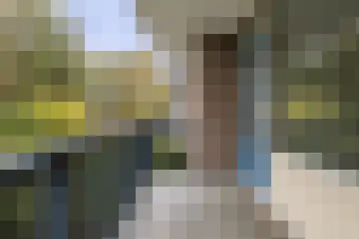 Chilidreef 25 Utrecht thumbnail 5