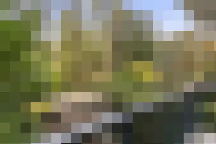 Chilidreef 25 Utrecht thumbnail 6