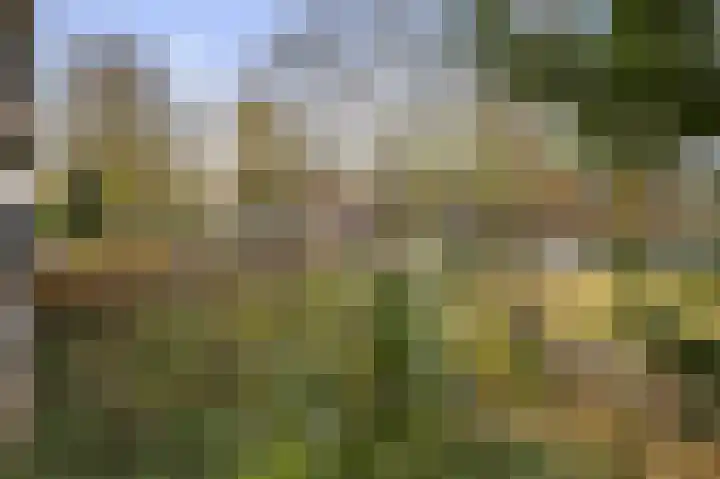Chilidreef 25 Utrecht thumbnail 7