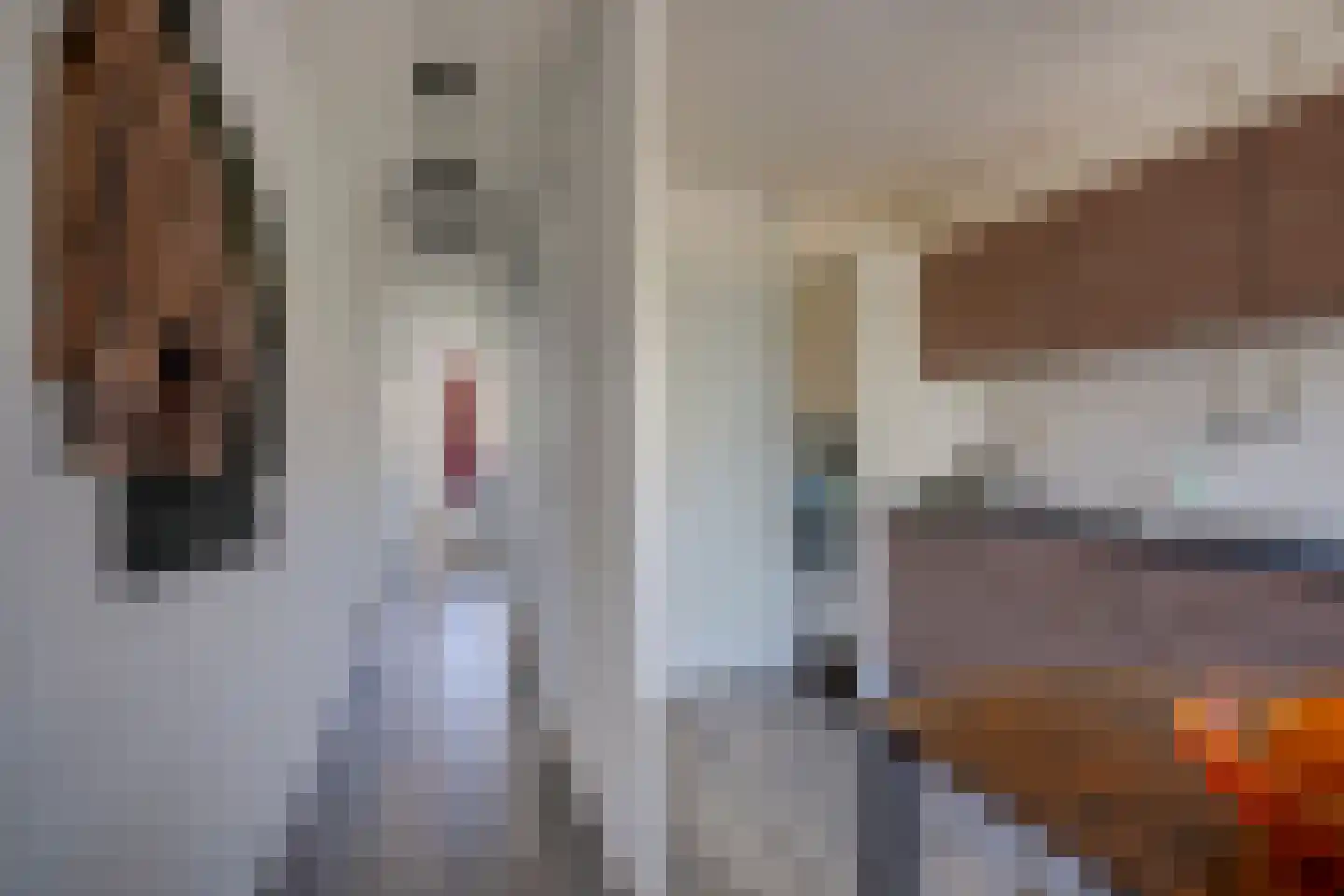 Chilidreef 29 Utrecht thumbnail 11
