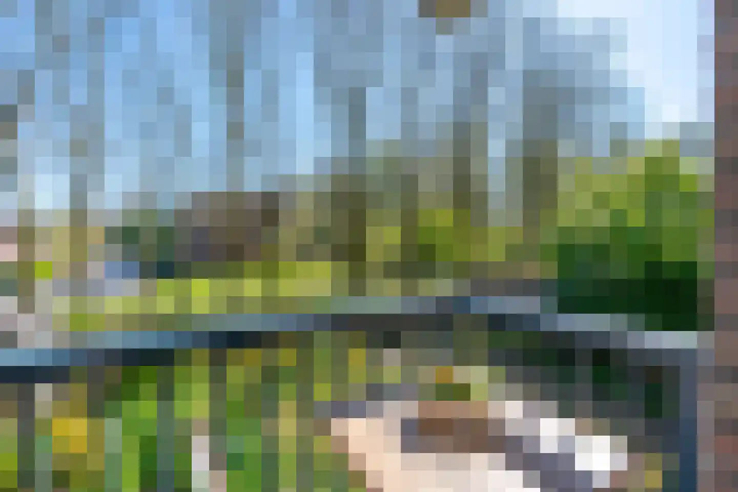 Chilidreef 29 Utrecht thumbnail 21