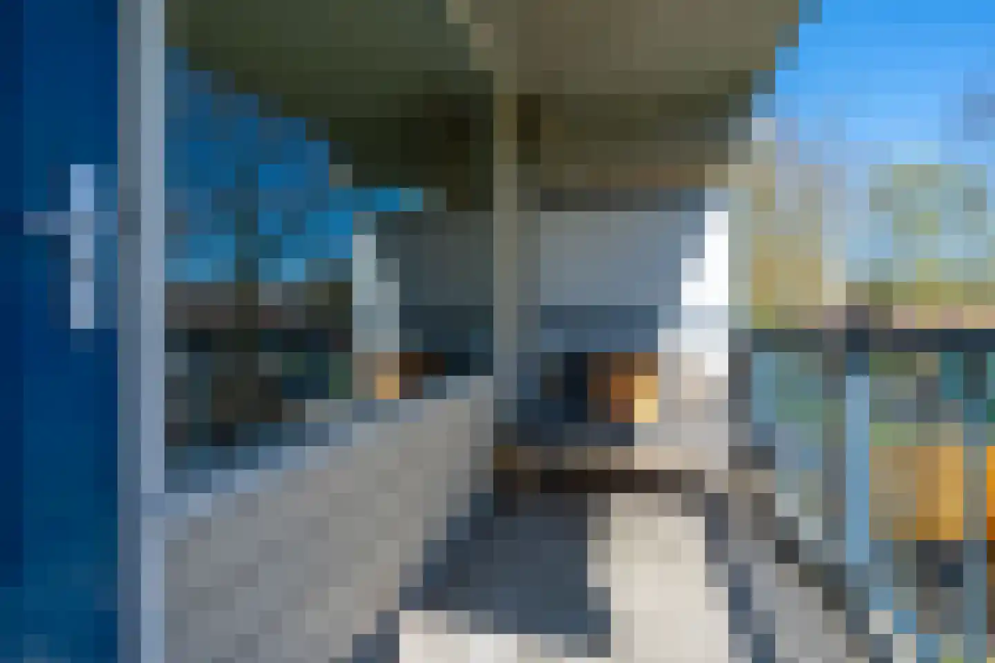Chilidreef 29 Utrecht thumbnail 22