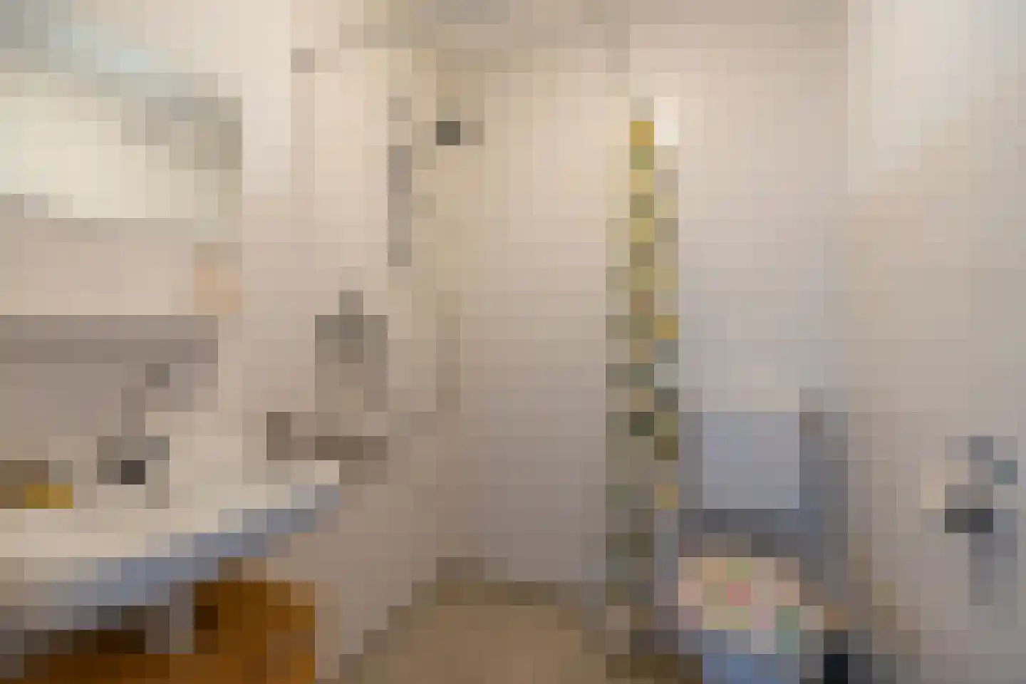Chilidreef 29 Utrecht thumbnail 25