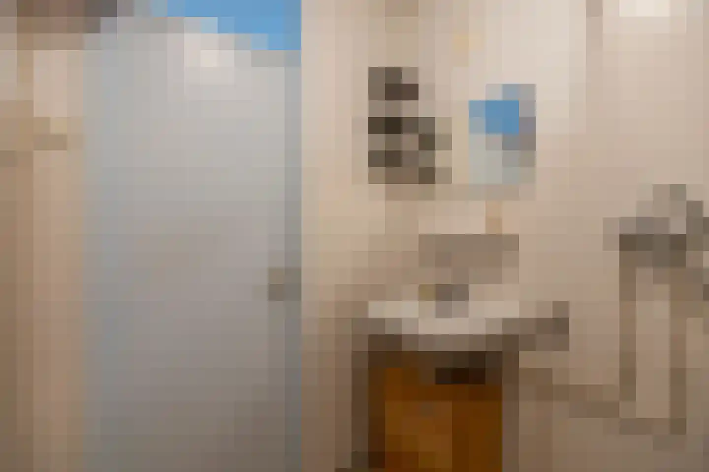 Chilidreef 29 Utrecht thumbnail 26