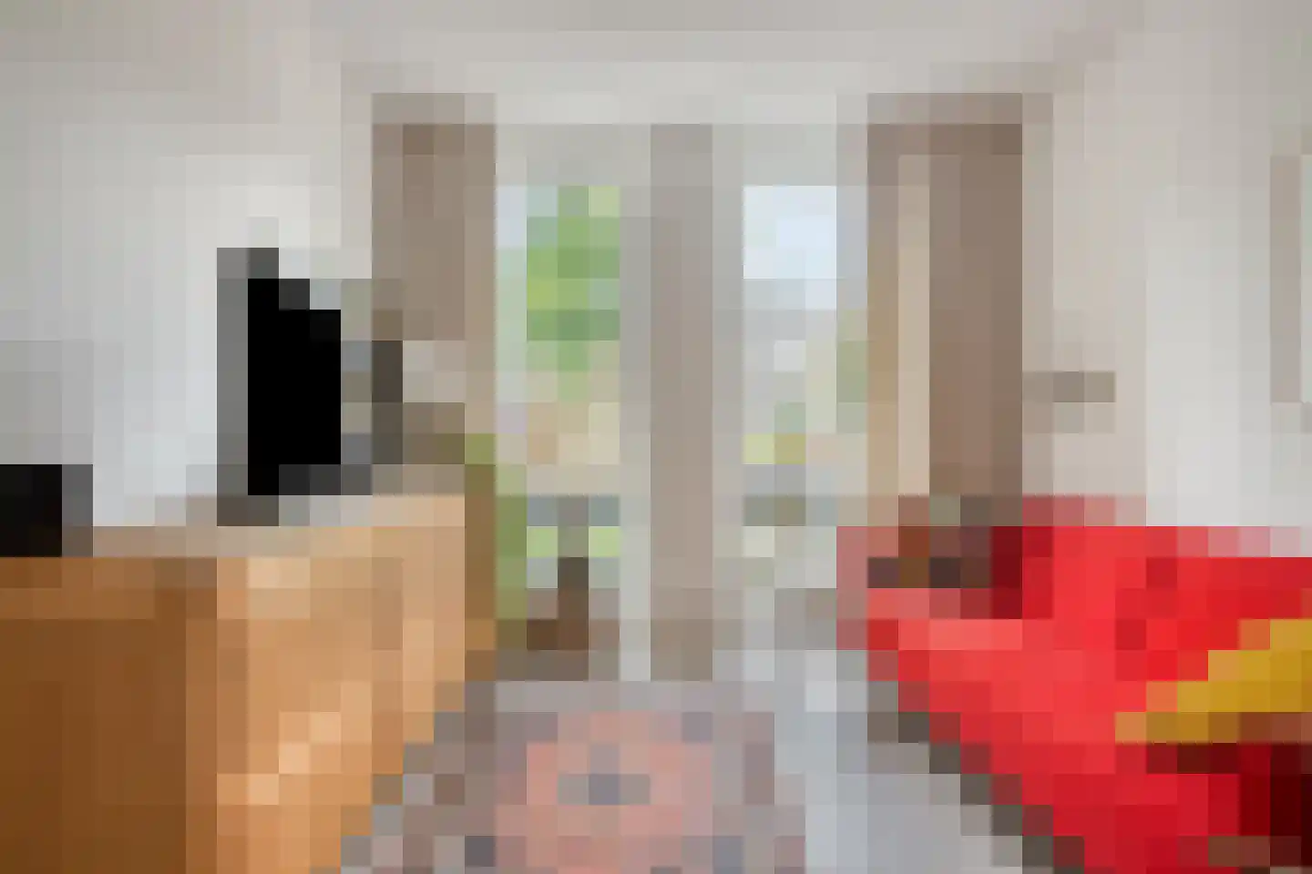 Chilipad 25 Delft thumbnail 14