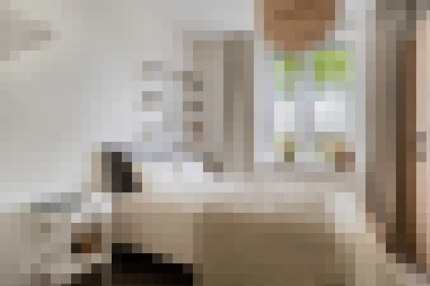 Chilipad 25 Delft thumbnail 16