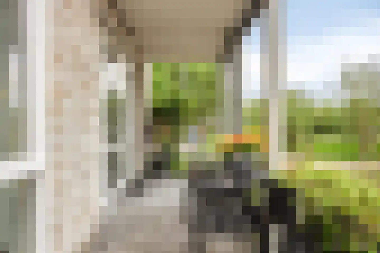 Chilipad 25 Delft thumbnail 24