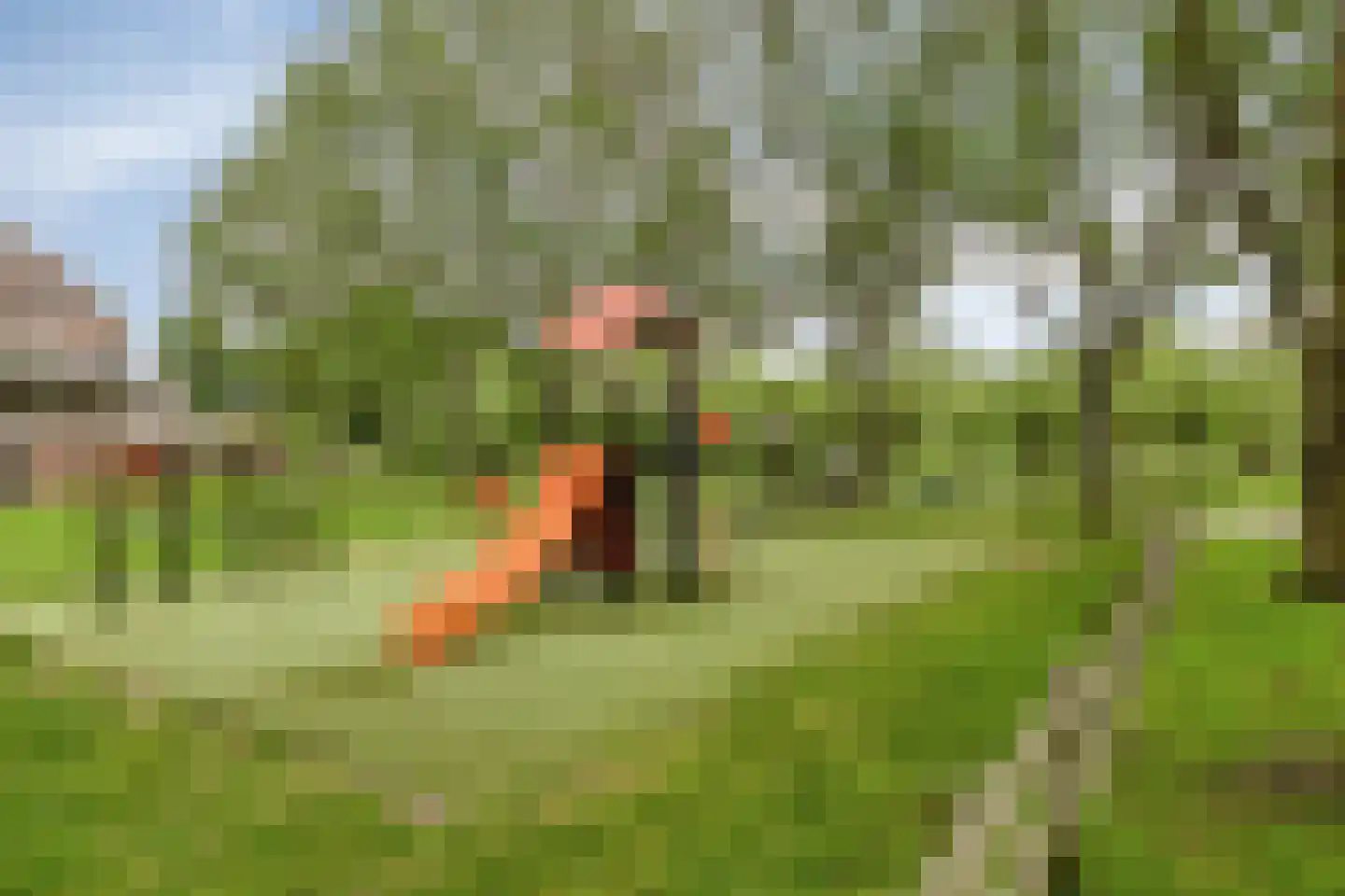 Chilipad 25 Delft thumbnail 25