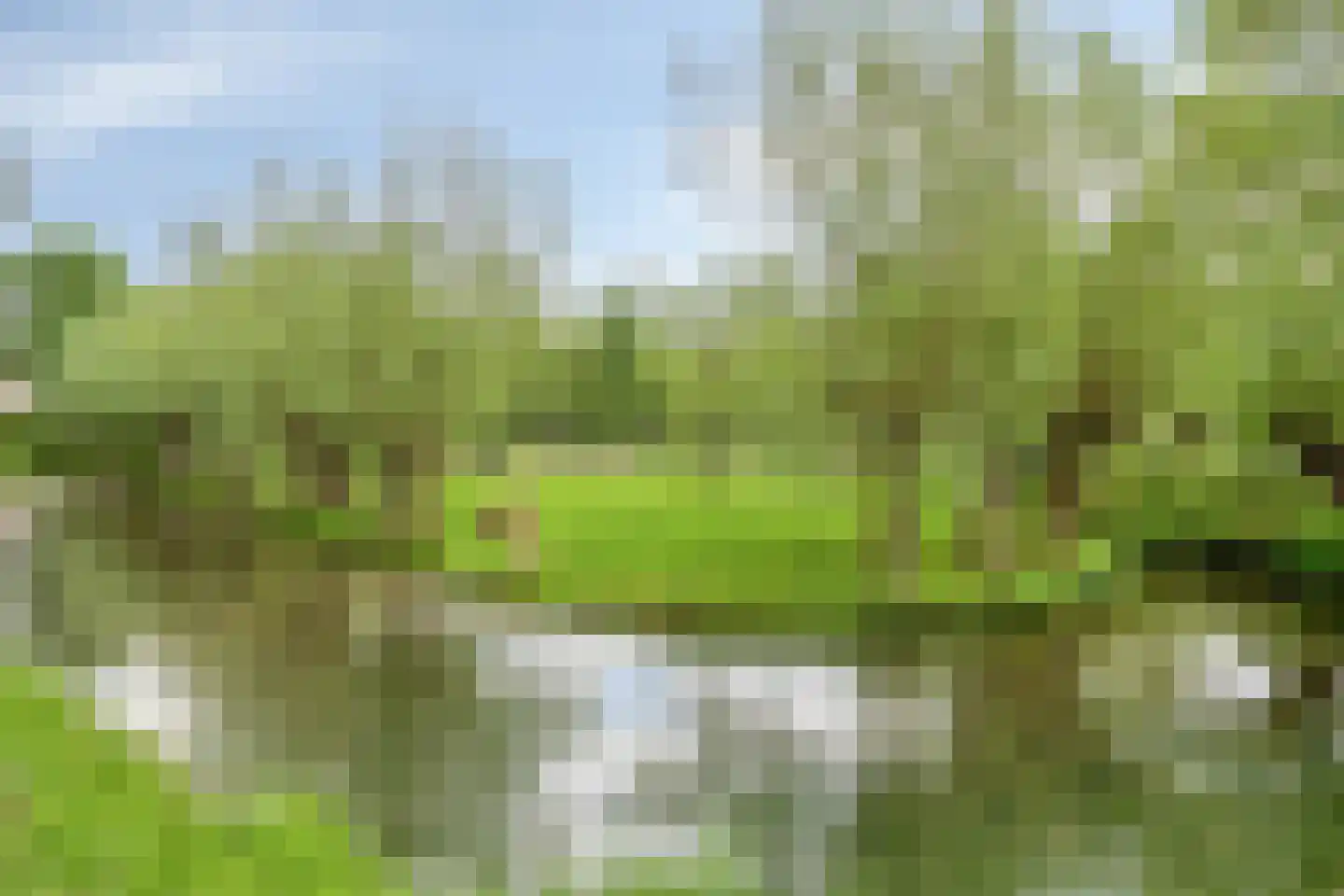 Chilipad 25 Delft thumbnail 28