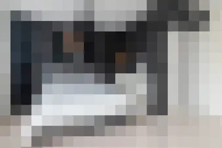 Chinalaan 8 Delft thumbnail 16