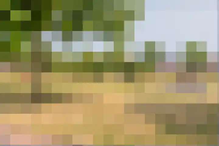 Chinastraat 82 Alphen aan den Rijn thumbnail 4