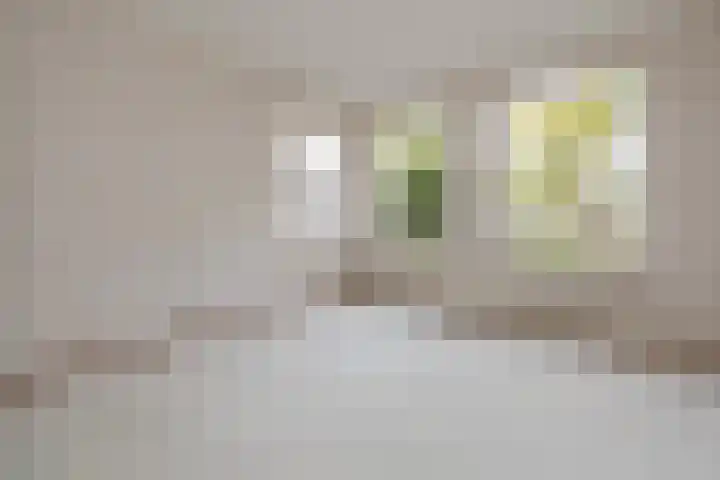 Chinastraat 82 Alphen aan den Rijn thumbnail 7
